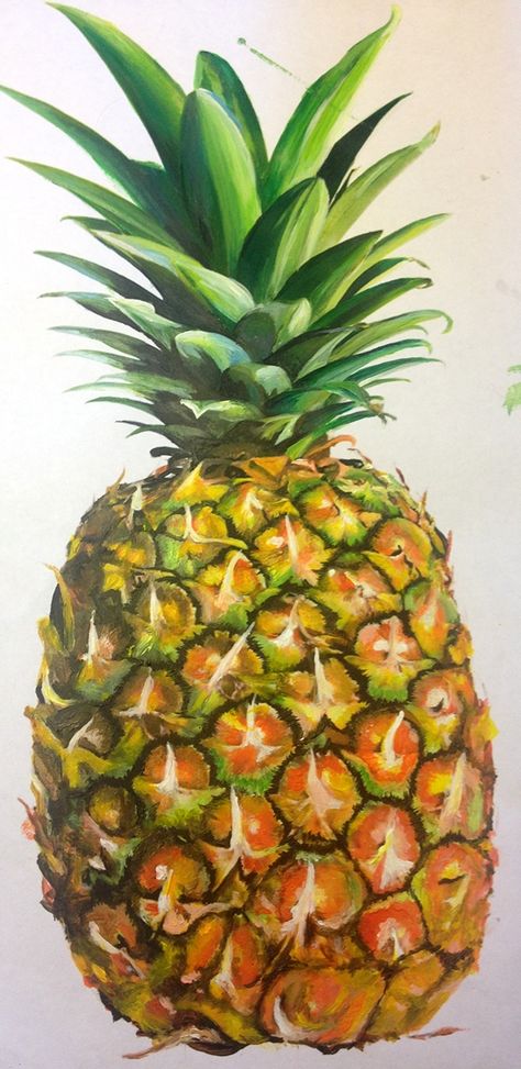 Pineapple Study on Behance Oil Pastel Pineapple, Pineapple Art Drawing, Pineapple Oil Painting, Pineapple Painting Ideas, How To Paint A Pineapple, Pineapple Painting Acrylics, Drawing Of Pineapple, Pinapple Art, Pineapple Pictures