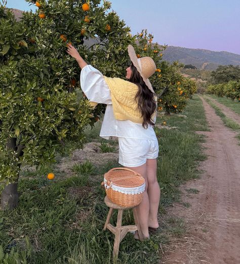 Orange orchard dates 🍊🧺🐴 @quixotefarm_ Spring aesthetic, spring things to do, spring vibes, Pinterest inspo, spring outfits Early Spring Aesthetic, Spring Goals, Orange Orchard, April Aesthetic, Cabin Aesthetic, Spring Instagram, Spring Things, Spring Pictures, Aesthetic Spring