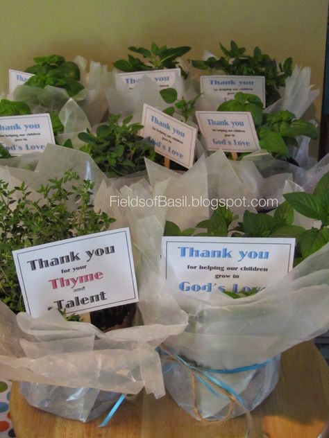 Fields of Basil: Sunday School Teacher Gifts-Free Printable Bible Class Teacher Appreciation Gifts, Catechist Appreciation Gifts, Primary Teacher Gifts, Church Volunteer Appreciation Gifts, Sunday School Teacher Appreciation, Christian Teacher Gifts, Volunteer Gift Ideas, Sunday School Teacher Gifts, Volunteer Ideas