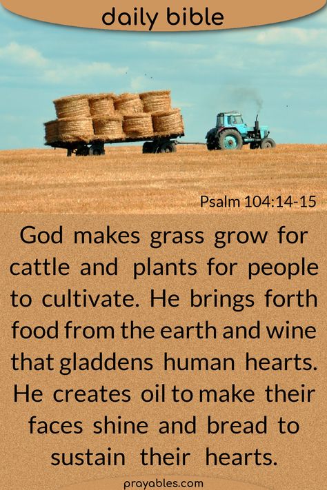 God makes grass grow for cattle and plants for people to cultivate. He brings forth food from the earth and wine that gladdens human hearts. He creates oil to make their faces shine and bread to sustain their hearts. ~Psalms 104:14-15 *Want more favorite psalms quotes, and bible quotes ? God's Power lives in King David quotes. Find more on prayables.com Psalm 104, Psalms Quotes, Psalm 32:8 Kjv, Psalm 143:8 Kjv, Psalm 34:8 Kjv, Psalm 28:7 Kjv, Psalm 61:2 Kjv, Homeopathic Medicine, Book Of Psalms