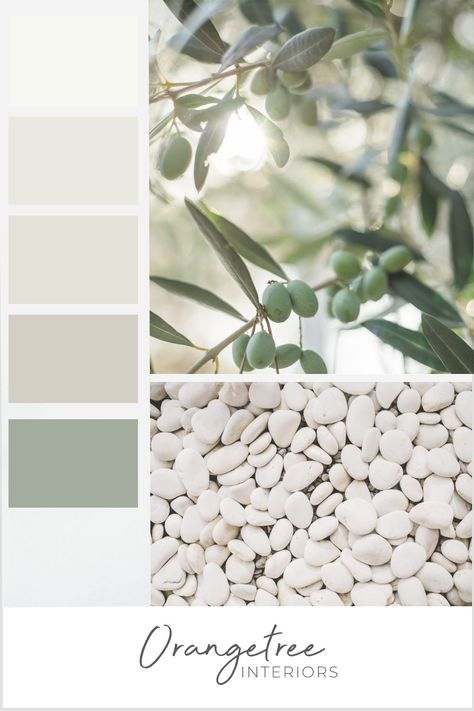 Check out this neutral, fresh, and earthy paint palette colour scheme with a subtle pop of sage green! It creates a serene, calming, and natural vibe in any interior space! Check out more on our blog! Paint palette, colour scheme, earth tones Couleur Feng Shui, Whole House Color Palette, Floor Steamer, Sage Green Paint Color, Paint Color Guide, Color Palette Living Room, Kitchen Mood Board, House Color Palettes, Perfect Paint Color