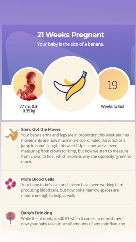 21weeks Pregnant, 21 Weeks Pregnant, 27 Weeks Pregnant, 12 Weeks Pregnant, Baby Countdown, Maternity Essentials, Fetal Movement, Pregnancy Week, Pregnancy Essentials