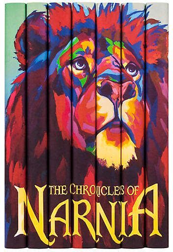 The Silver Chair, Chronicles Of Narnia Books, The Chronicles Of Narnia, Fantasy Book Series, Custom Book Covers, Hardy Boys, Book Jacket, Chronicles Of Narnia, Custom Book