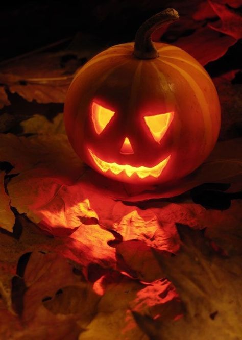 Strašidelný Halloween, Image Halloween, Halloween Tattoo, Halloween Images, Theme Halloween, Halloween Jack, Halloween Pictures, Fete Halloween, Outdoor Halloween