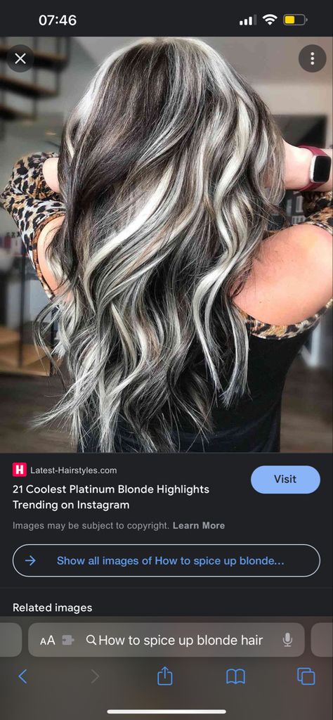 Dark Brown And Platinum Highlights, Dark Brown Hair With Bleach Highlights, Dark Brown With Icy Blonde Highlights, Platinum Lowlights On Dark Hair, Brown And Blonde Dimensional Hair, Icy Grey Blonde Hair Dark Roots, Money Piece Grey Hair, Silver And Dark Brown Hair, Dark Brown Hair With Bright Blonde Highlights