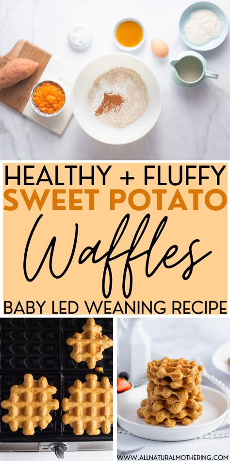 Blw Sweet Potato Pancakes, Baby Sweet Potato Pancakes, Sweet Potato Waffles Recipe, Blw Recipes Using Purees, Babyled Weaning Breakfast, Dairy Free Toddler Recipes, Babyled Weaning Recipe, Sweet Potato Blw Recipes, Sweet Potato Waffles For Baby