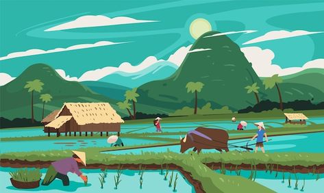 Landscape Animation, Vietnam Culture, Language Learning App, Ecology Design, Rice Field, Japanese Fish, Coffee Illustration, Rice Fields, Rice Terraces