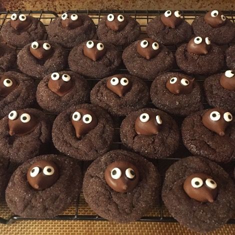 Chemistry: Mole Day Cookies | Firebellies Mole Themed Food, Chemistry Desserts, Mole Craft, Chemistry Mole Project Ideas, Mole Day Projects Chemistry Food, Mole Day Food, Mole Day Projects, Mole Day Food Chemistry, Chemistry Cookies