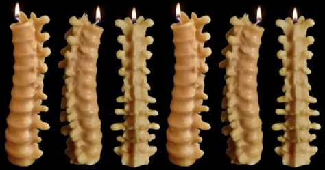 You Can Get A Spine Candle That Looks Incredibly Realistic Just In Time For Halloween I have come across some really cool and spooky candles lately, but this one is way different! It is made to look just like a human spine! They are seriously detailed and realistic. These candles are completely handcrafted! They are also molded from an actual REAL human spine! Super creepy, but you can’t get moreContinue Reading Seriously. Read it: You Can Get A Spine Candle That Looks Incredibly Realistic Pool Noodle Halloween, Spine Candle, Creepy Candles, Human Spine, Crystal Castles, Fall Candle, Horror Decor, Halloween Candles, Fall Candles