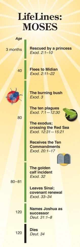 Moses timeline with Bible verses from the books of Exodus & Deuteronomy. Good idea for Bible study. Quick View Bible, Bible Study Help, Bible History, Bible Characters, Ayat Alkitab, Bible Facts, Life Quotes Love, Bible Teachings, Scripture Study