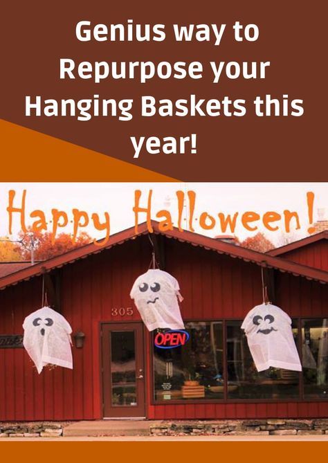 Find out how to repurpose your summer hanging baskets into this fun Halloween Decoration. Halloween Hanging Baskets, Mouth Shapes, Fall Hanging Baskets, Hanging Baskets Diy, Porch Planter, Front Porch Planters, Halloween Outside, Ghost Diy, Halloween Baskets