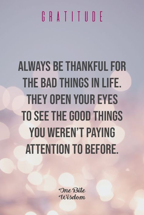 Quotes On Gratefulness Gratitude, Prayers For Gratitude Be Grateful, Quotes On Gratitude Be Thankful, Happy And Grateful Quotes, Thank You Universe Quotes, Be Thankful Quotes Gratitude, Gratitude Quotes Thankful I Am Blessed, November Quotes Thankful, Life Appreciation Quotes