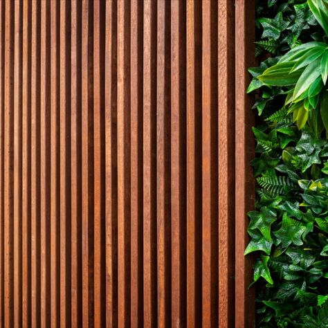 Finished Merbau Batten screen design Outdoor Fencing, Timber Battens, Timber Screens, Slate Wall, Japanese Style House, Timber Slats, Fence Screening, Garden Screening, Outdoor Living Rooms