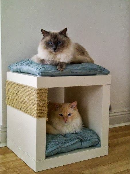 Pet Friendly Decorating • Ideas & great tutorials! Cat Cubby, Cubby Diy, Katt Diy, Katt Grejer, Kat Diy, Chat Diy, Cubby Hole, Cat Hacks, Two Cats