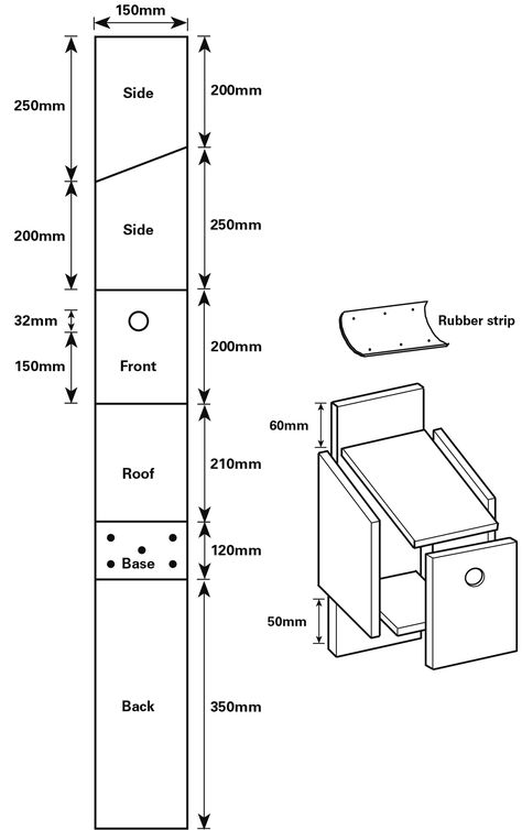 House Sparrow Nest, Building Bird Houses, Bluebird House Plans, Sparrow Nest, Bird House Plans Free, Wren House, Homemade Bird Houses, Bluebird House, Bird House Feeder