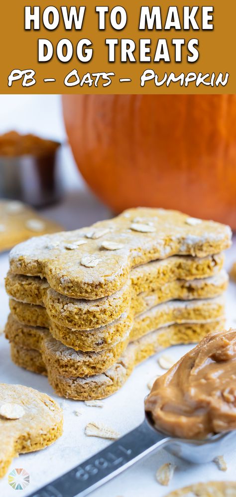 Pumpkin Peanut Butter Dog Treats, Dog Treats Homemade Pumpkin, Freeze Leftovers, Pumpkin Peanut Butter, Pet Recipes, Oatmeal Peanut Butter, Sugar Free Snacks, Pumpkin Oats, Dog Biscuit