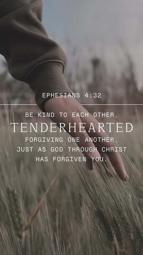 Ephesians 4 31 32, Book Of Ephesians, Be Kind To One Another, Ephesians 4:32, God Forgives, Harsh Words, Bible Verse Wallpaper, Bible Encouragement, Forgiving Yourself