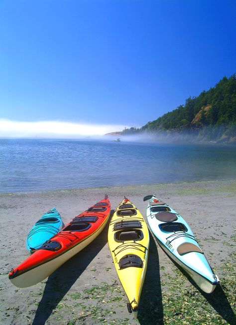 Washington Boat Travel, King Salmon, Alaska Fishing, Bait And Tackle, Fishing Techniques, Down The River, Sea Kayaking, Canoe And Kayak, Canoes