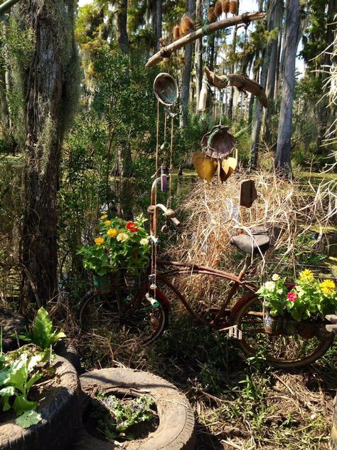 Misty's garden on American horror story Misty Ahs, Misty Day Aesthetic, Lily Rabe, Witchy Garden, Ahs Coven, American Horror Story Coven, Horror Series, Ryan Murphy, Season Of The Witch