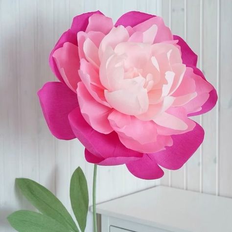 DIY Paper Flowers & Crafts on Instagram: "Gorgeous giant paper peonies are perfect decorations for weddings, parties, birthdays, exhibitions, photo shoots etc They look great 🤩   $140 instead of $350 right now   GIAN PAPER FLOWERS online course includes 2 kinds of peonies, rose, ranunculus, poppy with leaves, stems, bases.  and: - Detailed information about the materials used - Basic principles of working with crepe paper and making realistic flowers, which will allow you to create any other flower in future - PDF printable templates and step-by-step video instructions for 5 kinds of flowers. - Useful additional information about composition basics, color combinations, and flowers photographing  The link is in my profile and highlights. Or text me to direct" Paper Peony Template, Kinds Of Flowers, Diy Paper Flowers, Paper Peonies, Paper Hat, Paper Flowers Craft, Giant Paper Flowers, Printable Templates, Paper Flowers Diy