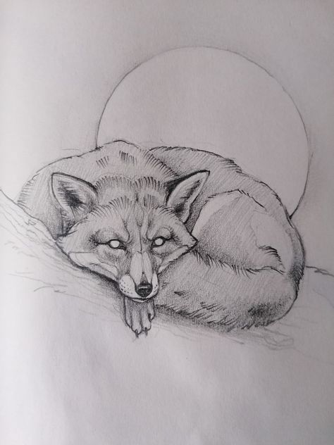 Fox Charcoal Drawing, Fox Colored Pencil Drawing, Fox Sketch Pencil, Fox Pen Drawing, Angry Fox Drawing, Fox Drawing Realistic, Pencil Art Drawings Animals, Fox Drawing Tattoo, Fox Drawing Reference