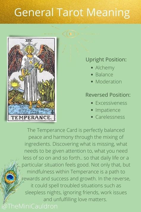 Tarot Card The Strength, Strength Tarot Meaning, Strength Tarot Card Meaning, Tarot Card Strength, Rider Tarot Deck, Tarot Cards Reading, The Rider Tarot Deck, Strength Card, Strength Tarot Card