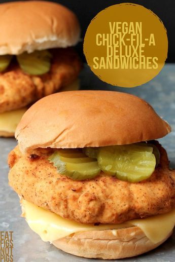 Vegan Chicken Patty, Diy Vegan Meat, Vegan Chicken Patties, Vegetarian Sausage Recipes, Vegan Lunchmeat, Vital Wheat Gluten Recipes, No Meat Dinners, Skincare Food, Vegan Diner