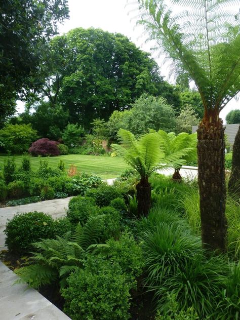 Fern Garden, Garden Tropical, Ferns Garden, Barn House Design, Tree Fern, Lawn And Landscape, Home Landscaping, Top Soil, Tropical Style