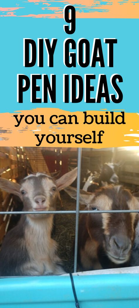 Diy Goat Projects, Goat Feed Storage Ideas, Play Area For Goats, Diy Pallet Goat Pen, Animal Shelters Diy, Goat Pen Set Up, Pig And Goat Pen Ideas, Pygmy Goat Enclosure Ideas, Backyard Goat Pen