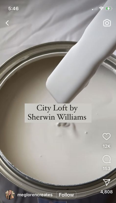 Desi Design, City Loft, Bg Design, Paint Color Inspiration, House Color Palettes, Paint Color Schemes, Neutral Paint Colors, Favorite Paint Colors, Sherwin Williams Paint Colors