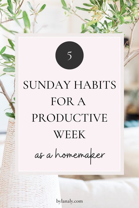 Sunday Reset Routine Mom, Schedule Monday To Sunday, Realistic Cleaning Schedule Working Mom, Sunday Routine For A Productive Week, Sunday Habits For A Productive Week, Homemaker Schedule, Sunday Planning, Mom Burnout, Baby Routine