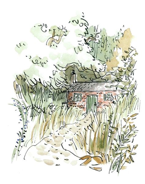 Miss Honey’s Cottage from Roald Dahl’s "Matilda" (http://tygertale.wordpress.com/2013/07/01/miss-honeys-cottage-from-roald-dahls-matilda/) Quentin Blake Illustrations, Matilda Roald Dahl, Miss Honey, Quentin Blake, Childrens Books Illustrations, Roald Dahl, Childrens Illustrations, Children's Book Illustration, Children Illustration