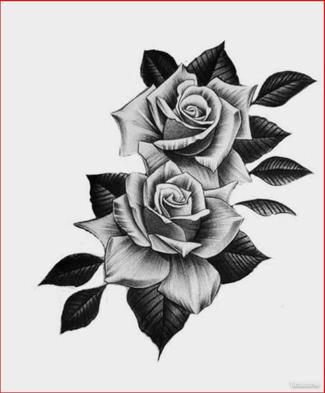 Rose Leaves Tattoo Design, 2 Rose Tattoo Design, Black Roses Tattoo Design, 4 Roses Tattoo Design, Rose Drawing Tattoo Realistic, Roses Design Tattoo, Rose Tatooes, Black And Grey Drawings, Rose Floral Tattoo Design