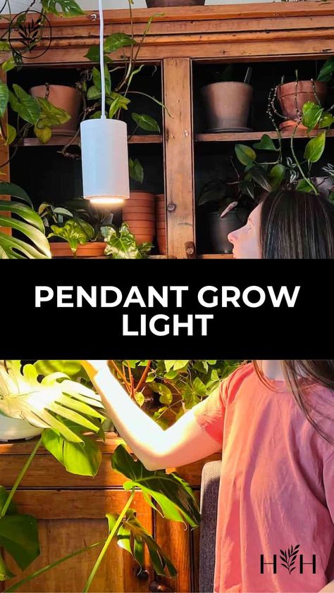 Plant Grow Lights Indoor Setup, Grow Light For Indoor Plants, Decorative Grow Lights For Houseplants, Pendant Grow Light, Grow Lights Diy, Garden Setup, Plant Corner, Plant Room, Grow Lights For Plants