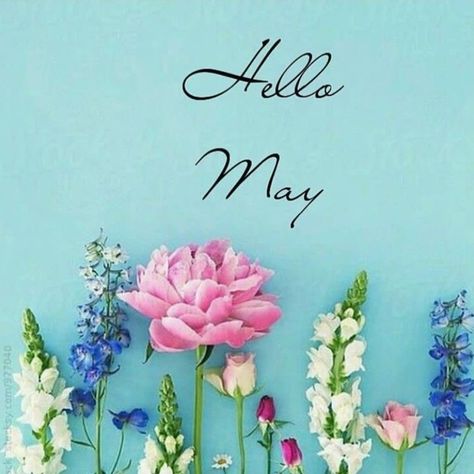 Welcome May! 💐🪻🌷🌺 #siggyscloset #springsummerstitching Month Wallpaper, Welcome May, Days And Months, Hello May, Mothers Day Flowers, May 1, Landscaping Ideas, Easter Spring, Landscaping