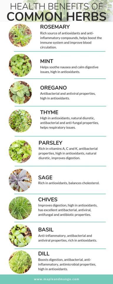 Benefits Of Herbs, Herbs Growing, Medicinal Herbs Garden, Medical Herbs, Herbal Healing, Home Health Remedies, Herbs For Health, Healing Food, Nutrition Education