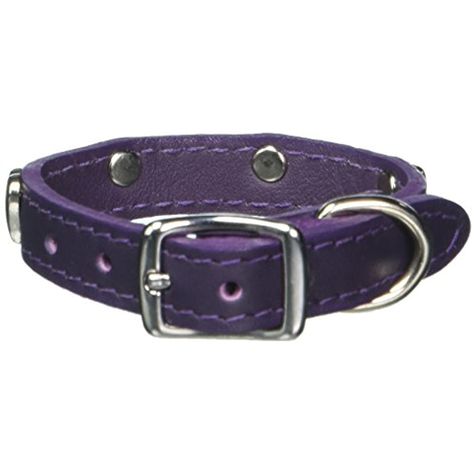 OmniPet Signature Leather Dog Collar with Heart Ornaments, Purple, 10" * Find out more about the great product at the image link. (This is an affiliate link) #CollarsHarnessesLeashes Purple Dog Aesthetic, Purple Dog Accessories, Purple Dog Clothes, Blue Leash And Collar, Purple Dog Collar And Leash, Purple Dog Collar, Purple Leather, Heart Ornament, Leather Collar