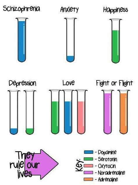 Neurotransmitters - dopamine, serotonin, oxytocin, noradrenaline, and adrenaline - and how they connect with our feelings. Struktur Teks, School Psychology, Nclex, Psychology Facts, School Counseling, Psychiatry, Neuroscience, Health Awareness, Social Work