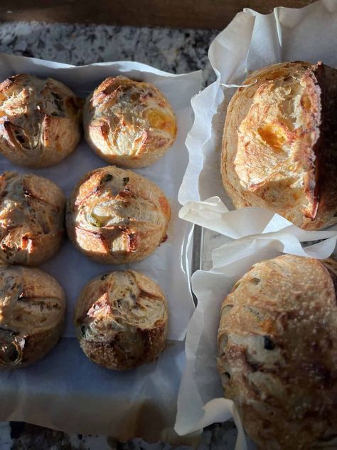 Mini Jalapeno Cheddar Loaves - Acts Of Sourdough Sourdough Muffins, Sourdough Rolls, Proofing Baskets, Jalapeno Cheddar, Sour Dough, Mini Loaf, Bread Bowls, Cheese Flavor, Sharp Cheddar