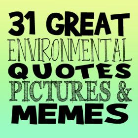 great environmental quotes pictures memes Environmental Services Week Ideas, Slogan On Environment, Earth Day Slogans, Resident Activities, Winning Meme, Grade 6 Science, Environmental Quotes, Manager Humor, Environmental Health And Safety