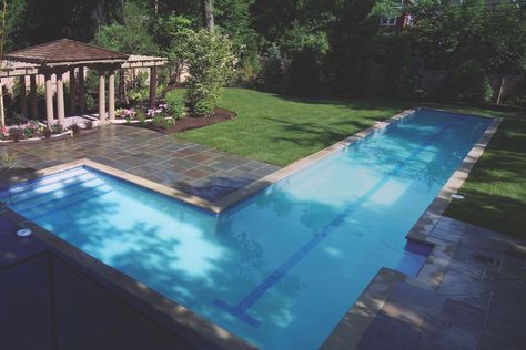 Florida Pools, Lap Pools Backyard, Lap Pool Designs, Lap Pools, Pools Backyard Inground, Residential Pool, Pool Landscape, Small Swimming Pools, Small Pool Design