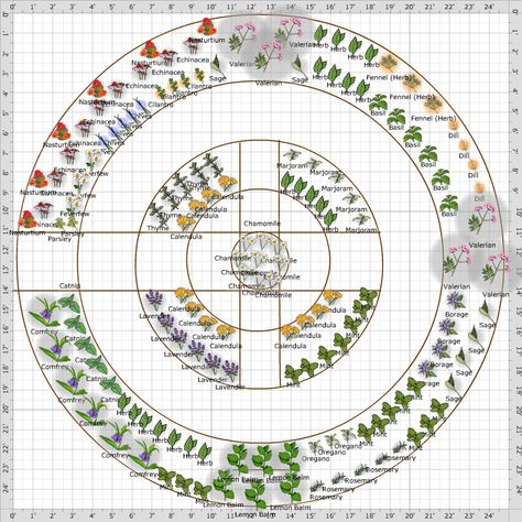 Garden Plan - 2013: Front Herb Garden & Walk What To Plant When, Circle Garden, Medicine Garden, Kitchen Plan, Medicinal Herbs Garden, Window Plants, Types Of Herbs, Herb Garden Design, Vegetable Garden Planning