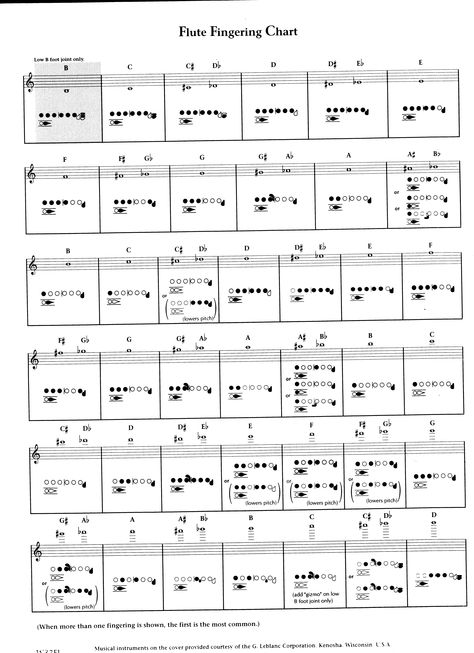 Flute Fingering Chart - from low B to high D Flute Aesthetic, Flute Fingering Chart, Oboe Music, Flute Notes, Flute Lessons, African Swimwear, Learn Music Theory, Dream Dates, Piano Practice