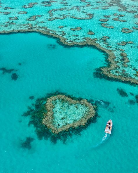 Qualia Hamilton Island, Hamilton Island Aesthetic, Hamilton Island Australia, Dreamy Scenery, Heart Island, Queensland Travel, Honeymoon Activities, Island Honeymoon, Tropical Honeymoon