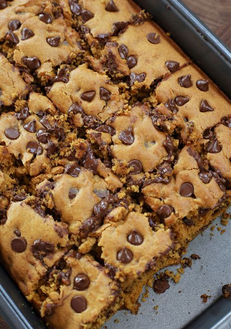 Phenomenal Pumpkin Chocolate Chip Bars Pumpkin Chocolate Chip Blondies, Pumpkin Chocolate Chip Cookie Bars, Pumpkin Chocolate Chip Recipes, Chocolate Chip Pumpkin Bars, Pumpkin Chocolate Chip Bars, Chocolate Pumpkin Bread, Pumpkin Chip, Easy Pumpkin Dessert, Skillet Chocolate Chip Cookie