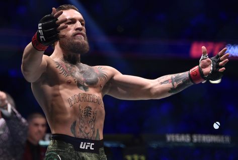 Conor McGregor Destroys Donald 'Cowboy' Cerrone In 40 Seconds At UFC 246 Mcgregor Wallpapers, Ufc Conor Mcgregor, 남성 근육, Donald Cerrone, Connor Mcgregor, Nate Diaz, Ufc Fighter, Dana White, Ufc Fighters