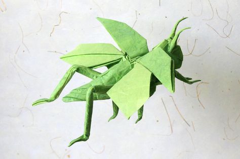 flying grasshopper | by nyanko sensei Origami Grasshopper, Dog Insurance, Farmers Insurance, Origami Butterfly, Origami Paper Art, Origami Instructions, Origami Design, Origami Crane, Butterfly Decorations