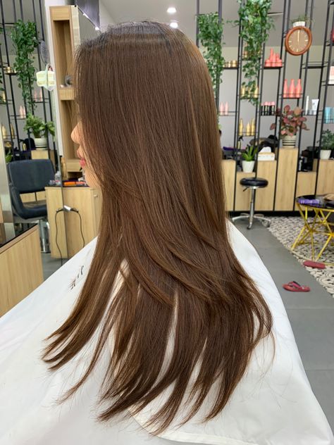 Chesnutt Brown Color Hair Straight, Macchiato Hair Color, Hair Dye Videos, Golden Brown Hair Color, Hair Color Chocolate, Red Hair Inspo, Brown Hair Looks, Hair Curling Tips, Brown Hair Inspo