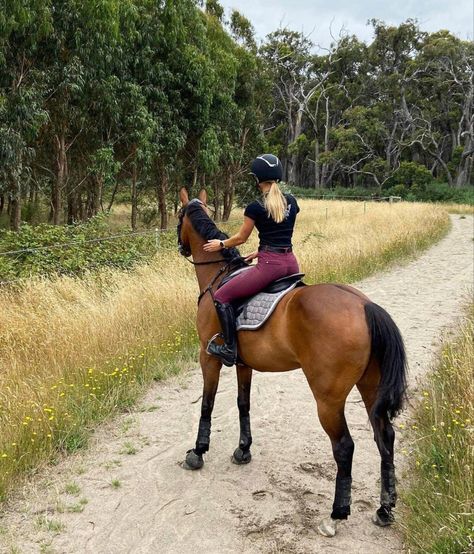 Bay Horse Aesthetic, Horseback Riding Aesthetic, Horseback Riding Outfit, Riding Outfit Equestrian, Aesthetic Equestrian, Horse Riding Aesthetic, Horsey Life, Equestrian Outfit, Horseback Riding Outfits