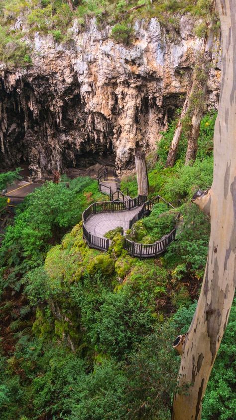 Embark on a journey of exploration in Margaret River with our comprehensive guide to the best activities! 🌿 From tasting exquisite wines to delving into the mysterious depths of Margaret River Caves, there's no shortage of excitement here. Ready to plan your trip? Dive into our blog article for insider tips and unforgettable experiences! #MargaretRiver #TravelGuide #ExploreAustralia #WineTasting #AdventureAwaits #MargaretRiverCaves Margaret River House, Margaret River Western Australia, Photo Moodboard, Margaret River, Healing Heart, A Whale, Blog Article, Whale Watching, South Australia